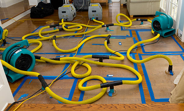 Professional Sewage Cleanup technician working in Lamar, MO